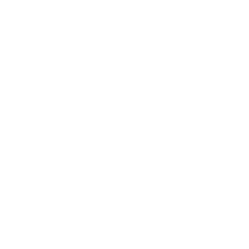 ShoesHub Web Icon